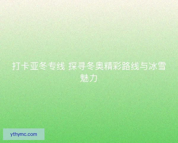 打卡亚冬专线 探寻冬奥精彩路线与冰雪魅力